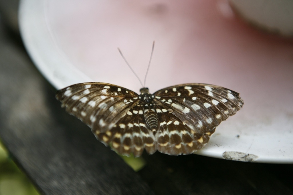 20130205-063709.jpg